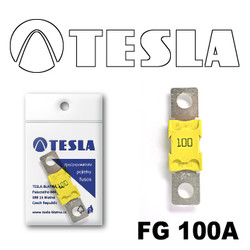 Tesla MEGA 100AFG100A