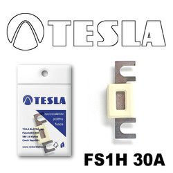 Tesla    30FS1H30A