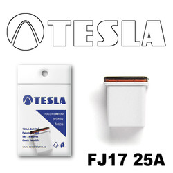 Tesla   FJ17 25FJ1725A