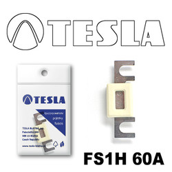 Tesla    60FS1H60A