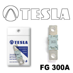 Tesla MEGA 300AFG300A