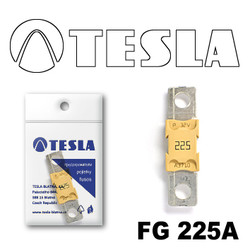 Tesla MEGA 225AFG225A